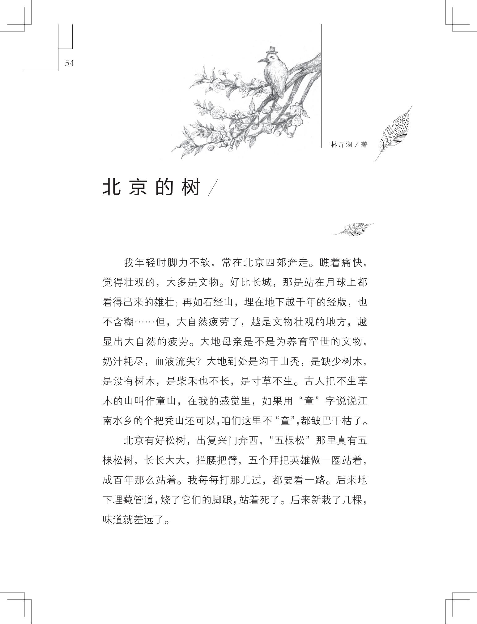 《做在大胡子里的鸟窝 》